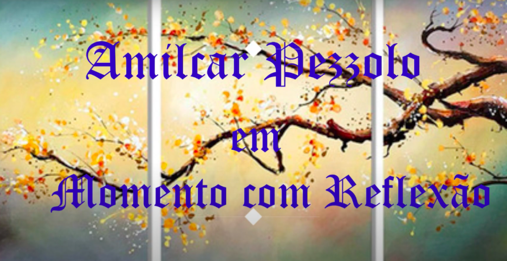 Momento Sabedoria